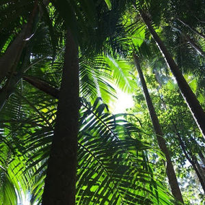 Meet your Posher, Lorraine